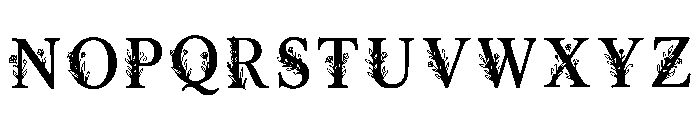 Darcy Regular Font LOWERCASE