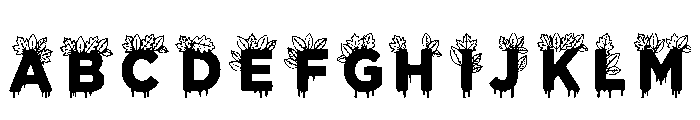 Darryl Regular FONT