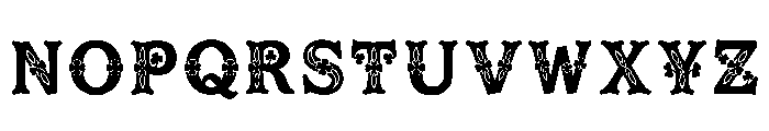 Daryn Regular Font LOWERCASE