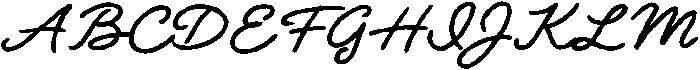 Daily Notes Script Bold otf (700) Font UPPERCASE