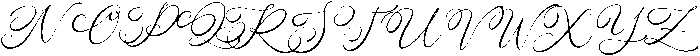 Daisy Wonder otf (400) Font UPPERCASE