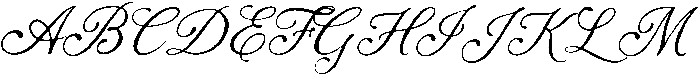 Dancing Partner Script Clean otf (400) Font UPPERCASE