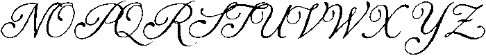 Dancing Partner Script Clean otf (400) Font UPPERCASE