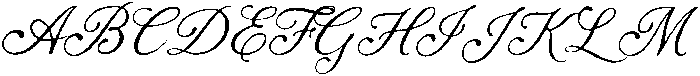 Dancing Partner Script Rough otf (400) Font UPPERCASE