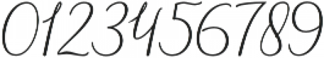 Danliny Script Bold Regular otf (700) Font OTHER CHARS