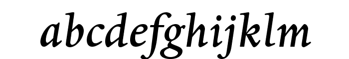 DanteMTStd-MediumItalic Font LOWERCASE