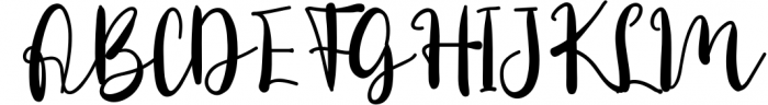 Daily Danissa - Modern Script Font Font UPPERCASE