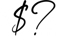 Dalmantian - Modern Script Font Font OTHER CHARS