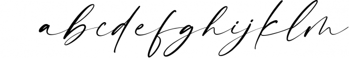 Dalmantian - Modern Script Font Font LOWERCASE