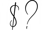 Dalmatins // Elegant Signature Font Font OTHER CHARS