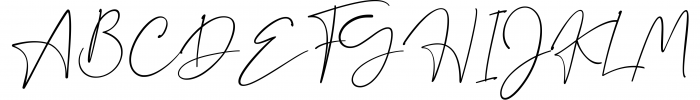 Dalmatins // Elegant Signature Font Font UPPERCASE