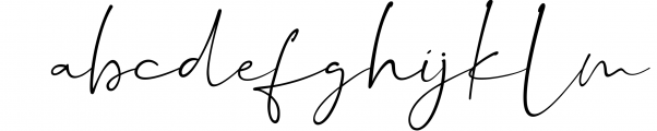 Dalmatins // Elegant Signature Font Font LOWERCASE
