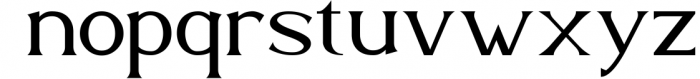 Danford - A Fancy Serif Display Font Font LOWERCASE