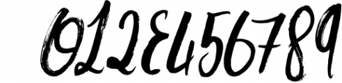Danica Tribute Brush & SVG Font 1 Font OTHER CHARS