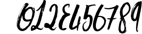Danica Tribute Brush & SVG Font Font OTHER CHARS