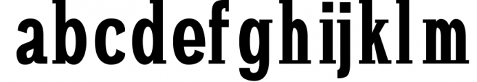 Darrion Slab Serif Typeface Font LOWERCASE