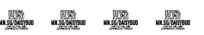 Daisybud Decorations PERSONAL Regular Font OTHER CHARS