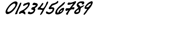 Dakota Bold Condensed Italic Font OTHER CHARS
