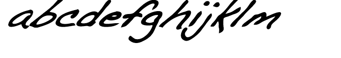 Dakota Bold Italic Font LOWERCASE