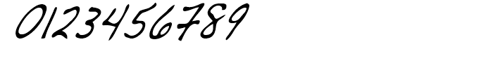 Dakota Condensed Italic Font OTHER CHARS