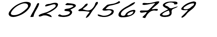 Dakota Extended Italic Font OTHER CHARS