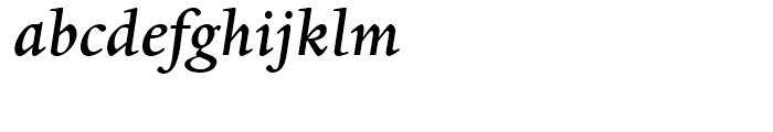 Dante Medium Italic Font LOWERCASE