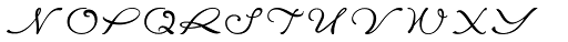 Danish Script Initials JNL Font LOWERCASE