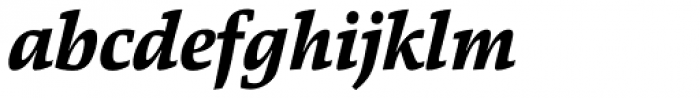 Danton Extra Bold Italic Font LOWERCASE