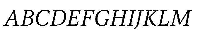 Dashiell Text Italic Font UPPERCASE