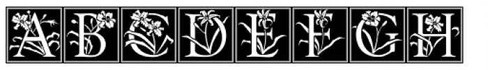 Daylilies Regular Font UPPERCASE