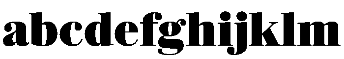 Darby Serif Display Black FONT