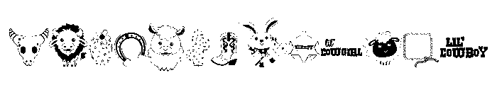 DB Howdy Font LOWERCASE