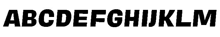 Degular Mono Extra Bold Italic Font UPPERCASE