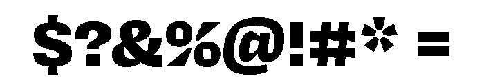 Degular Mono Heavy Font OTHER CHARS
