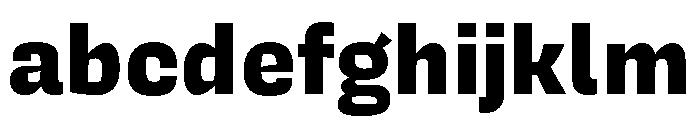 Degular Mono Heavy FONT