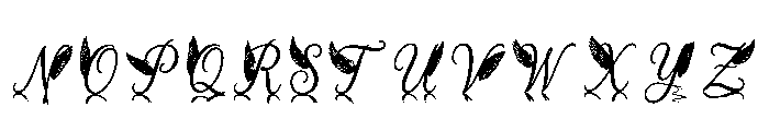 Debra Regular Font UPPERCASE