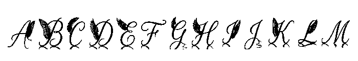 Debra Regular FONT