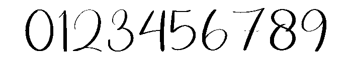 Delight Wedding Font OTHER CHARS