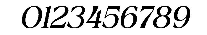 Delvira Italic Font OTHER CHARS