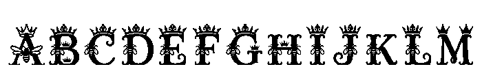 Derbe Regular FONT