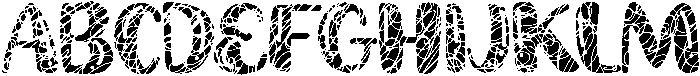 DECEMBER Regular otf (400) Font UPPERCASE