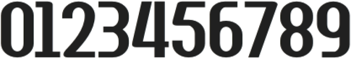 DEGUS Regular otf (400) Font OTHER CHARS