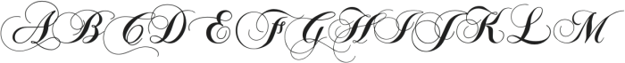 Debut Script otf (400) Font UPPERCASE