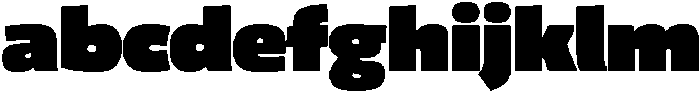 Delasyn Heavy otf (800) FONT