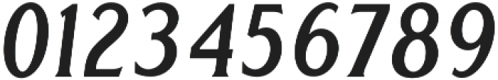 Delighter Script Serif Oblique Tracked otf (300) Font OTHER CHARS