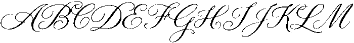 Details Script otf (400) Font UPPERCASE