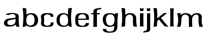 Delafino-ExpandedRegular Font LOWERCASE