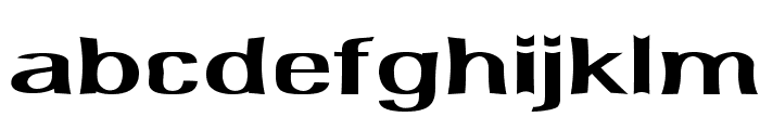 Delafino-ExtraexpandedBold Font LOWERCASE