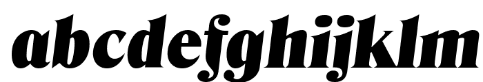 DenverSerial-Black-Italic Font LOWERCASE