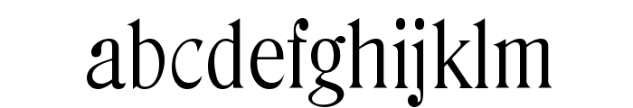 DenverSerial-Light-Regular Font LOWERCASE
